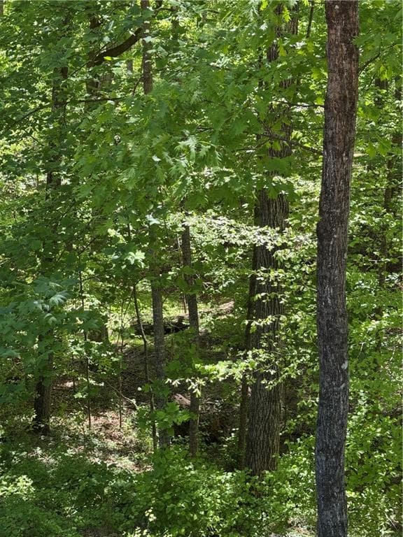 other for sale at 0 Clark Drive, Alpharetta, GA 30004