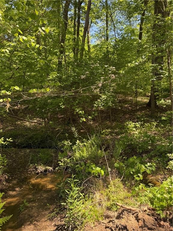 other for sale at 0 Clark Drive, Alpharetta, GA 30004 — photo 3