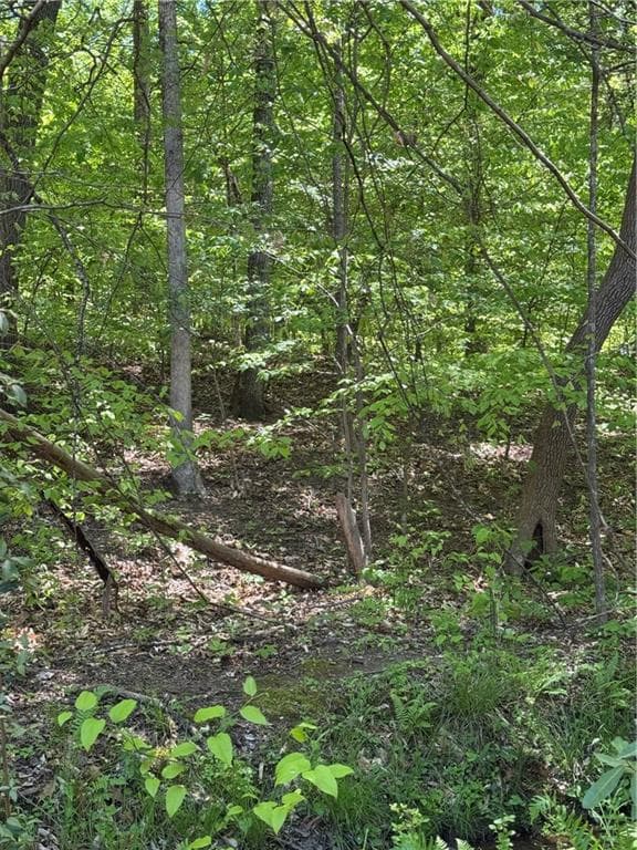 other for sale at 0 Clark Drive, Alpharetta, GA 30004 — photo 5