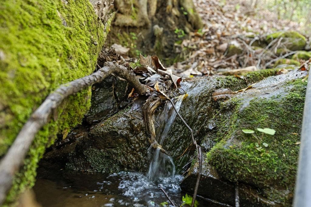 unimproved land for sale at 0 Poplar Hollow Road, Ellijay, GA 30540 — photo 3