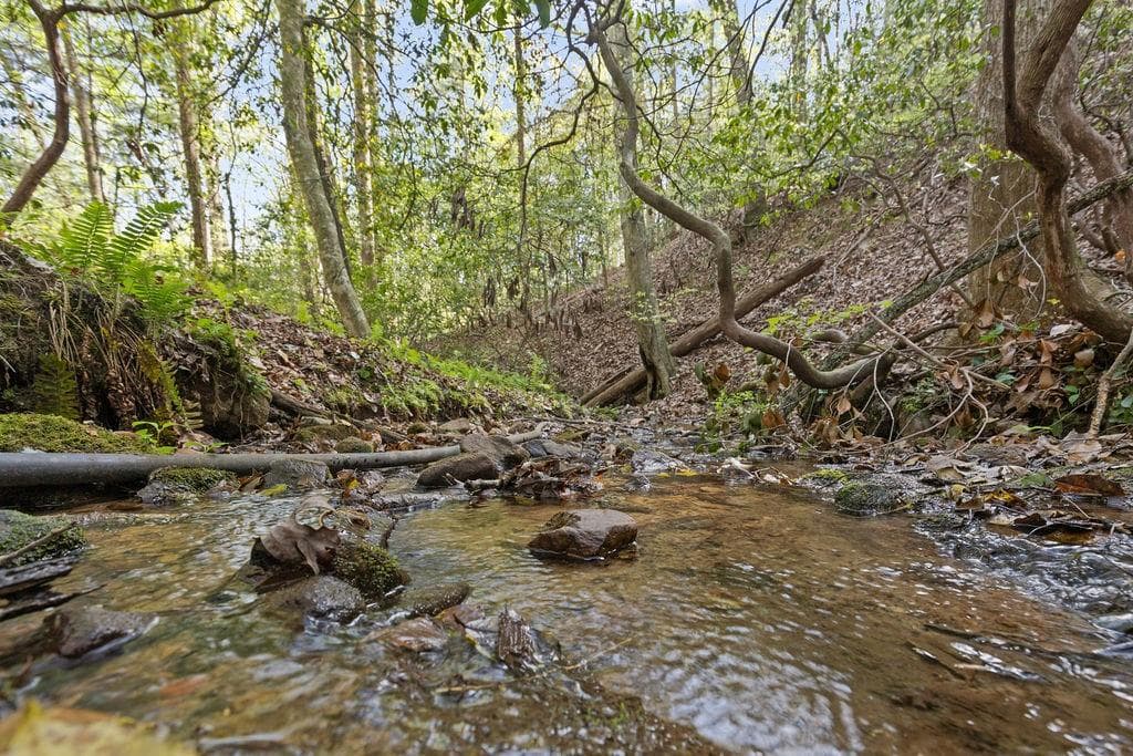 unimproved land for sale at 0 Poplar Hollow Road, Ellijay, GA 30540 — photo 4