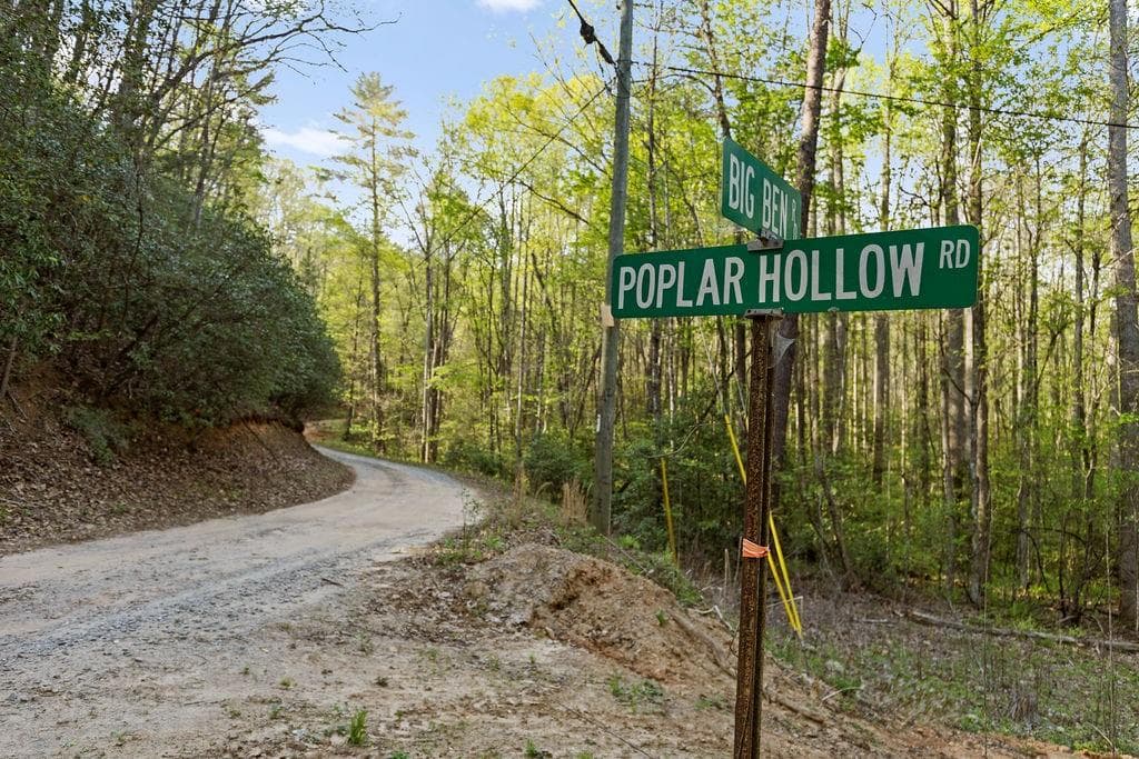 unimproved land for sale at 0 Poplar Hollow Road, Ellijay, GA 30540 — photo 6