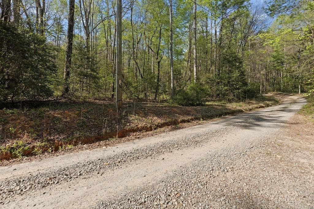 unimproved land for sale at 0 Poplar Hollow Road, Ellijay, GA 30540 — photo 7