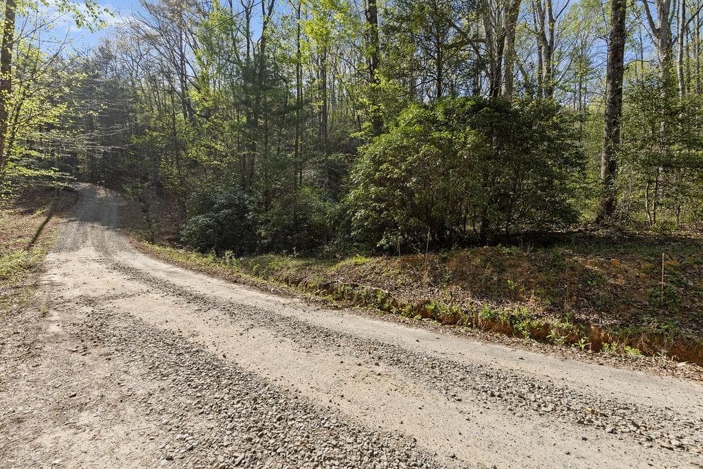 unimproved land for sale at 0 Poplar Hollow Road, Ellijay, GA 30540 — photo 8
