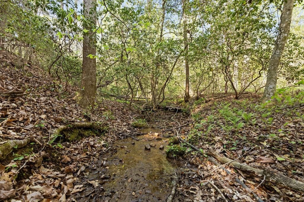 unimproved land for sale at 0 Poplar Hollow Road, Ellijay, GA 30540 — photo 9