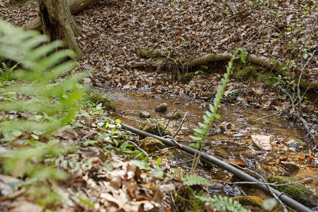 unimproved land for sale at 0 Poplar Hollow Road, Ellijay, GA 30540 — photo 10