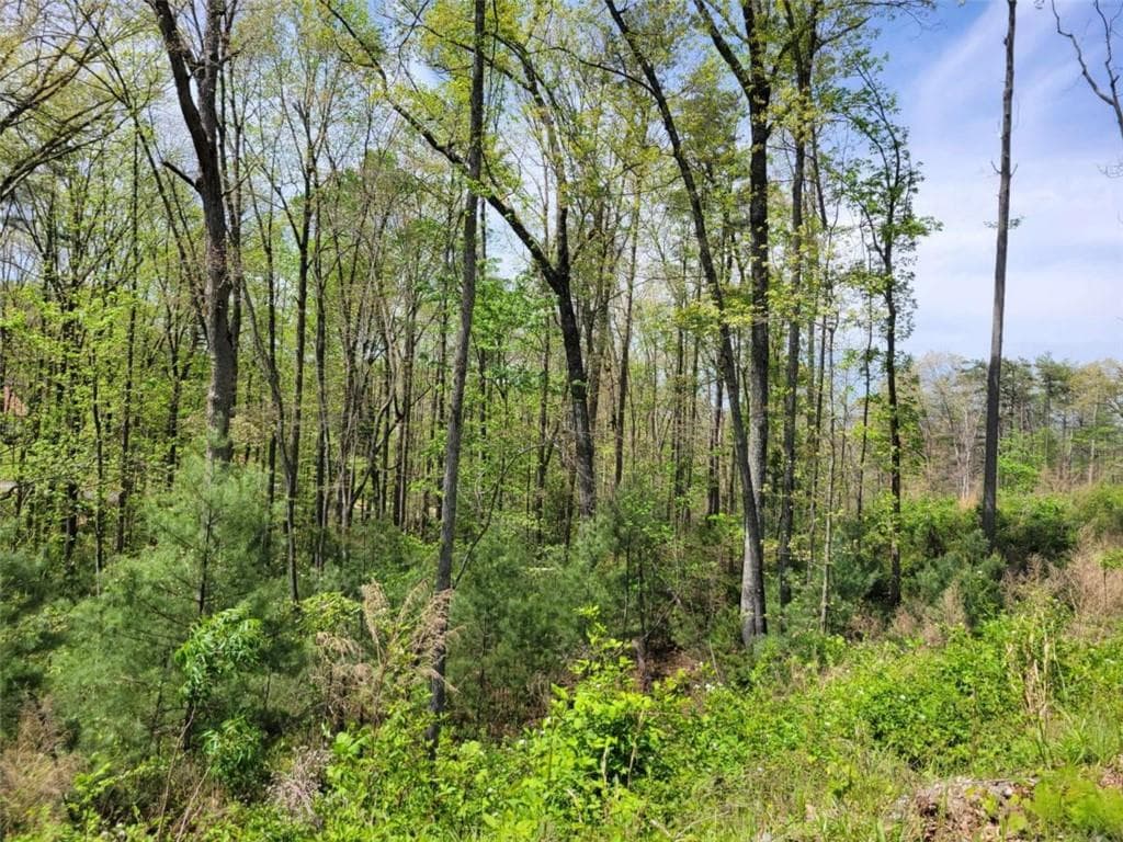 single family residence for sale at Lot 2 Old Northcutt Road, Ellijay, GA 30540 — photo 6