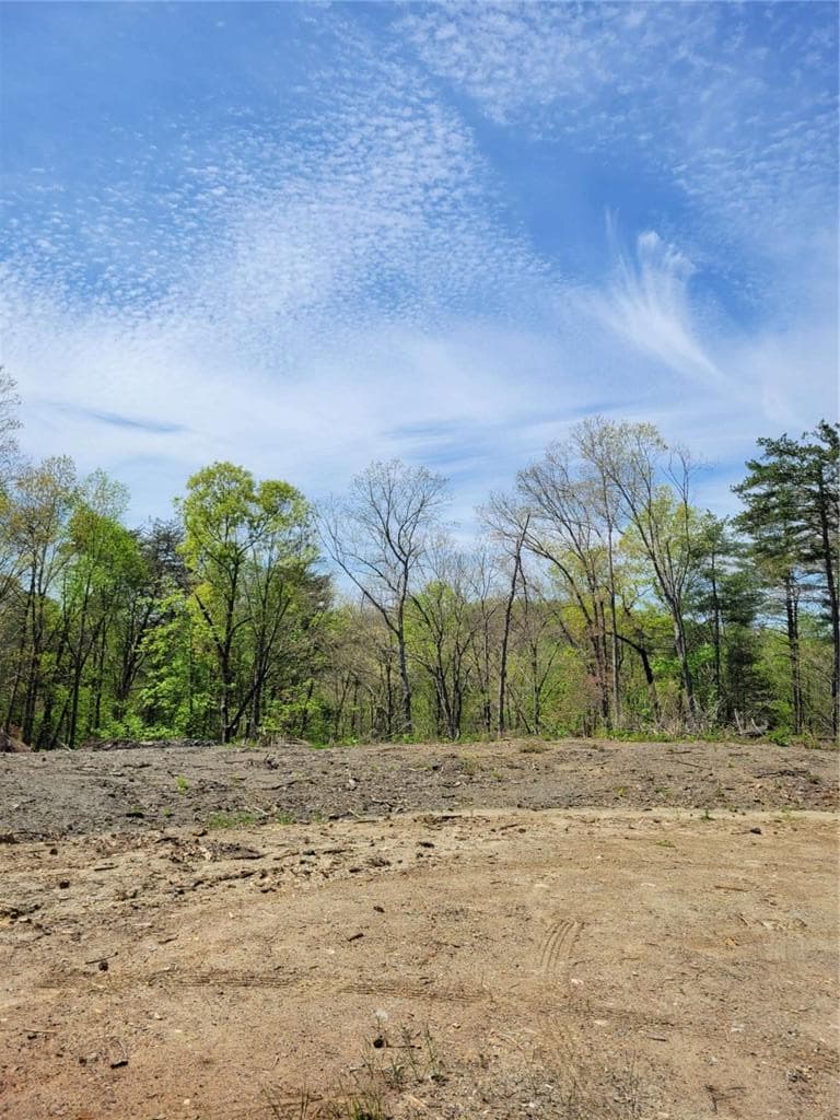 single family residence for sale at Lot 2 Old Northcutt Road, Ellijay, GA 30540 — photo 10
