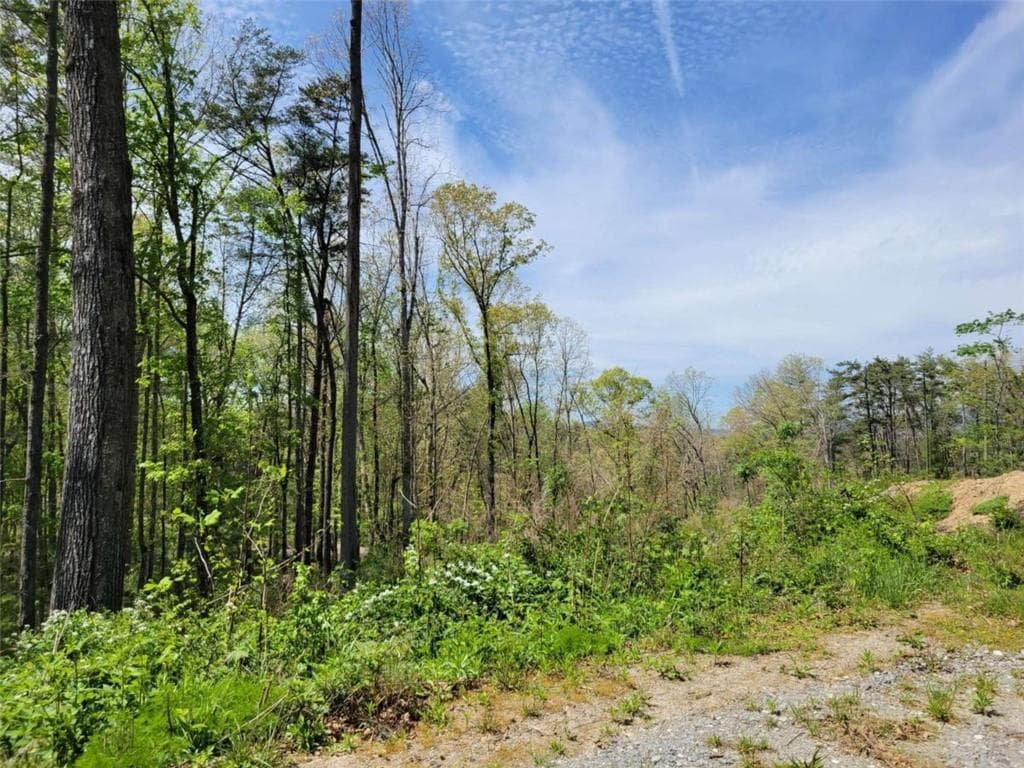 single family residence for sale at Lot 4 Old Northcutt Road, Ellijay, GA 30540 — photo 8