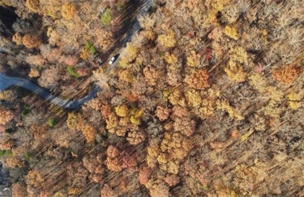 unimproved land for sale at 0 Mountainside Drive, Cleveland, GA 30528 — photo 6