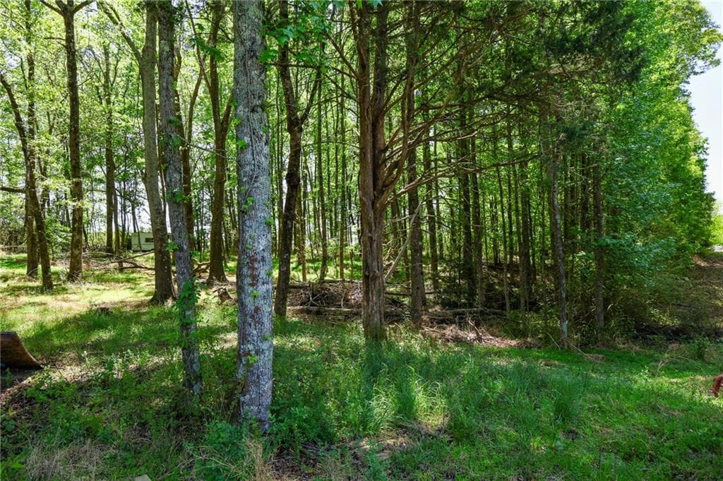 other for sale at 0 Pritchett Road, Lula, GA 30554 — photo 7