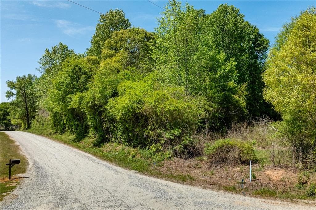 other for sale at 0 Pritchett Road, Lula, GA 30554 — photo 9