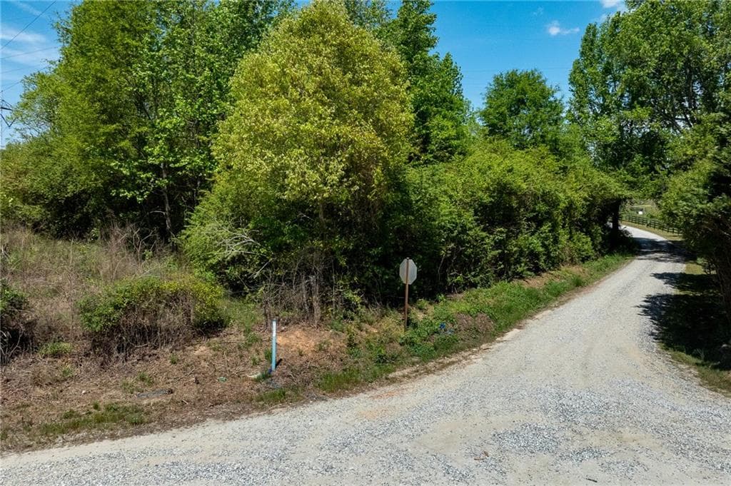 other for sale at 0 Pritchett Road, Lula, GA 30554 — photo 10