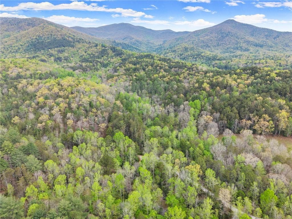 other for sale at 0 S Fern Cove Road, Sautee Nacoochee, GA 30571 — photo 4