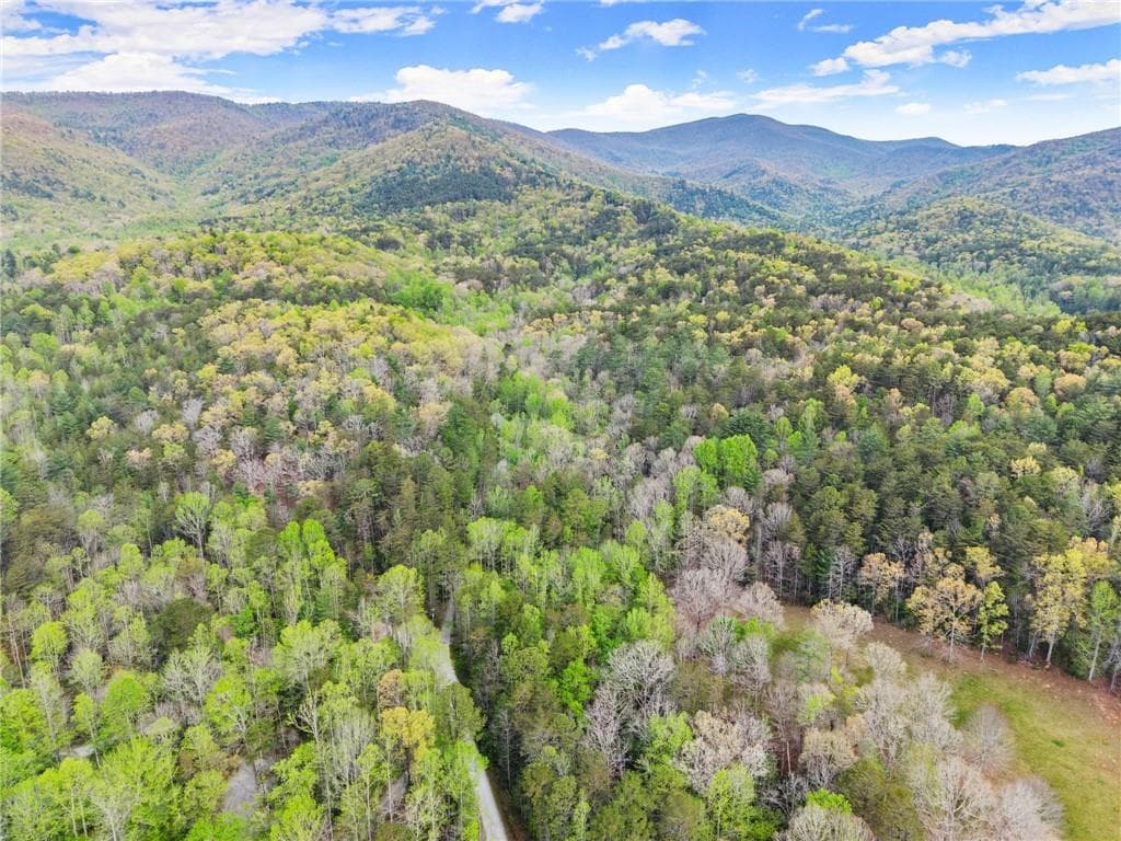 other for sale at 0 S Fern Cove Road, Sautee Nacoochee, GA 30571 — photo 5