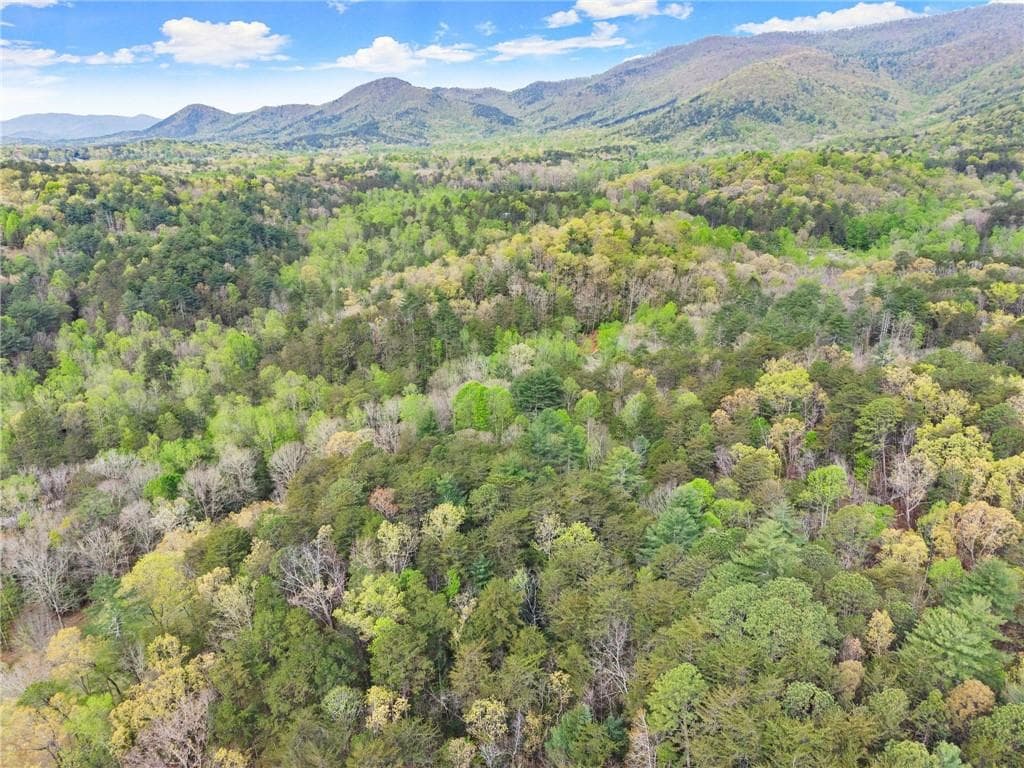 other for sale at 0 S Fern Cove Road, Sautee Nacoochee, GA 30571 — photo 6