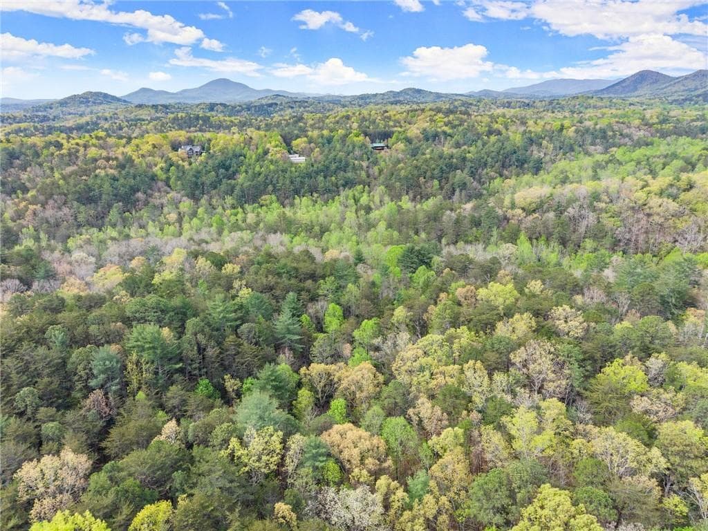 other for sale at 0 S Fern Cove Road, Sautee Nacoochee, GA 30571 — photo 7