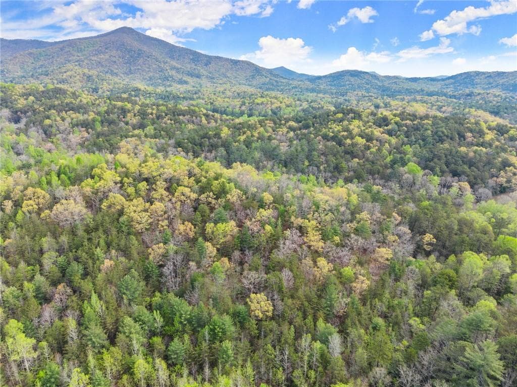 other for sale at 0 S Fern Cove Road, Sautee Nacoochee, GA 30571 — photo 8