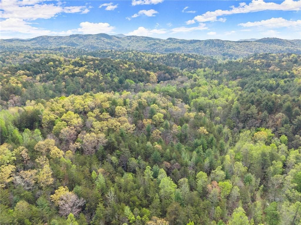 other for sale at 0 S Fern Cove Road, Sautee Nacoochee, GA 30571 — photo 9