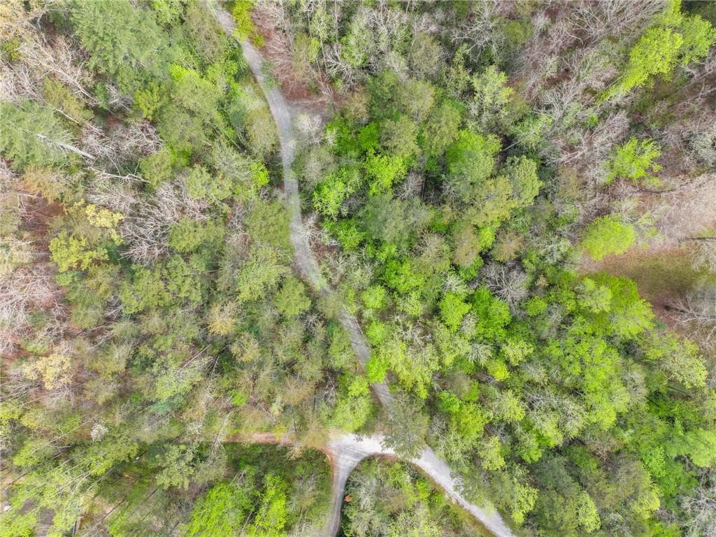 other for sale at 0 S Fern Cove Road, Sautee Nacoochee, GA 30571 — photo 10