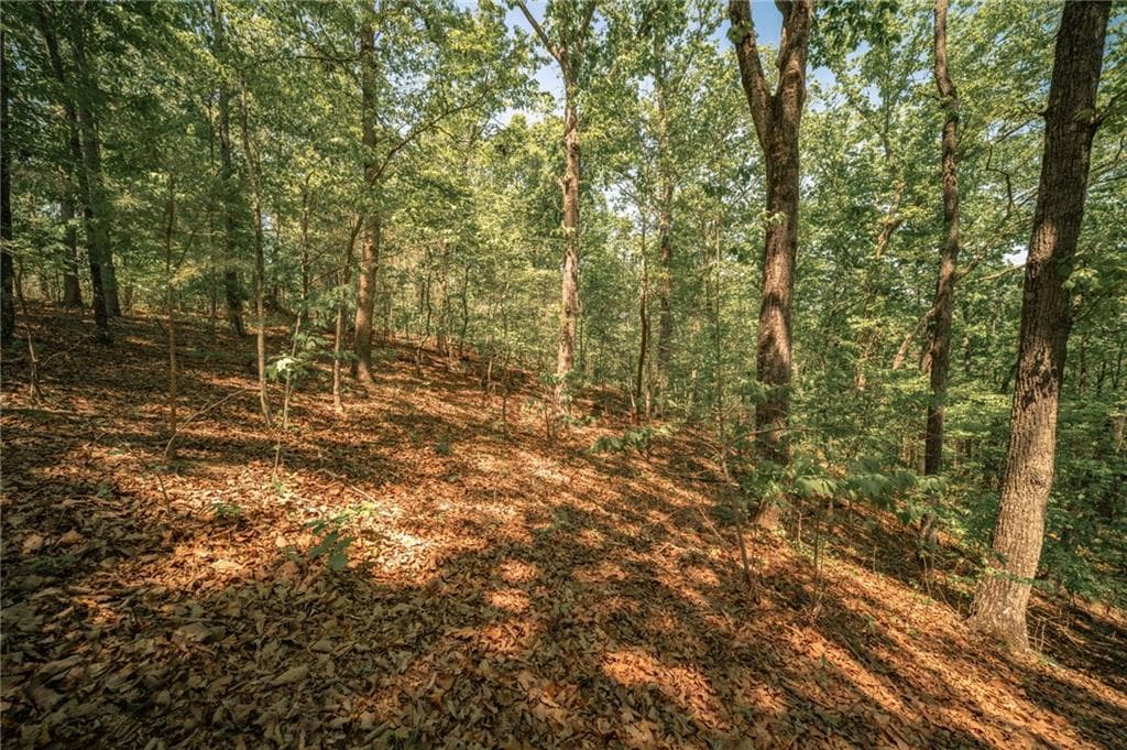 unimproved land for sale at 00 Hancock Mountain Trail, Waleska, GA 30183