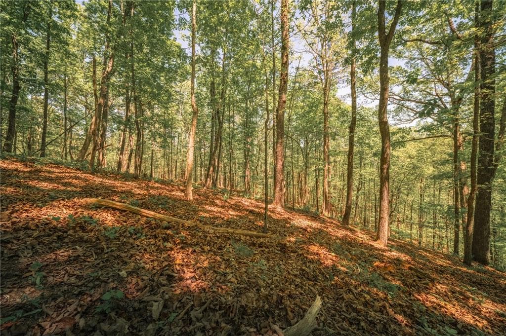 unimproved land for sale at 00 Hancock Mountain Trail, Waleska, GA 30183 — photo 2