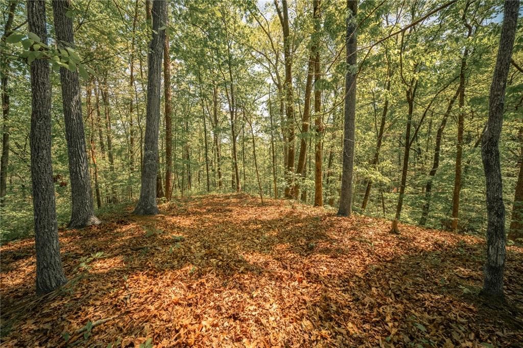 unimproved land for sale at 00 Hancock Mountain Trail, Waleska, GA 30183 — photo 3
