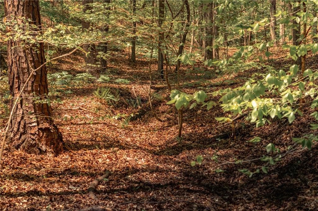 unimproved land for sale at 00 Hancock Mountain Trail, Waleska, GA 30183 — photo 4