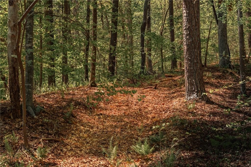 unimproved land for sale at 00 Hancock Mountain Trail, Waleska, GA 30183 — photo 5