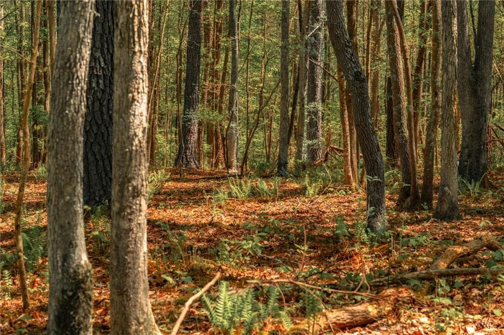 unimproved land for sale at 00 Hancock Mountain Trail, Waleska, GA 30183 — photo 6