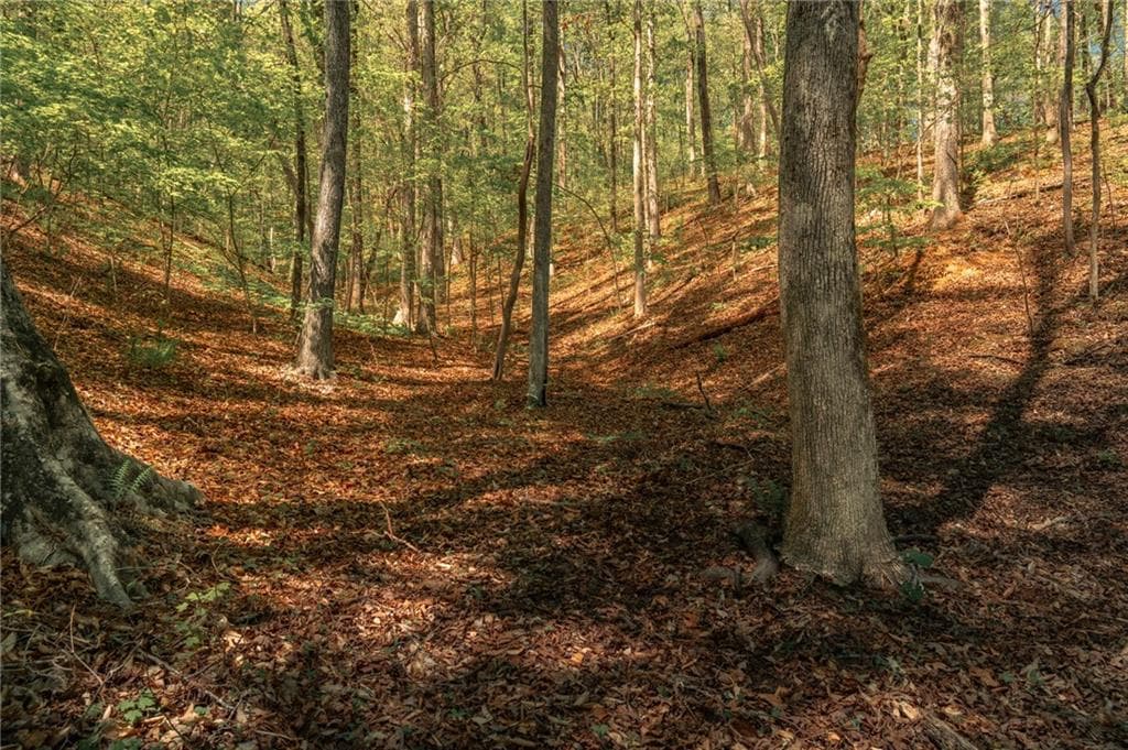 unimproved land for sale at 00 Hancock Mountain Trail, Waleska, GA 30183 — photo 7