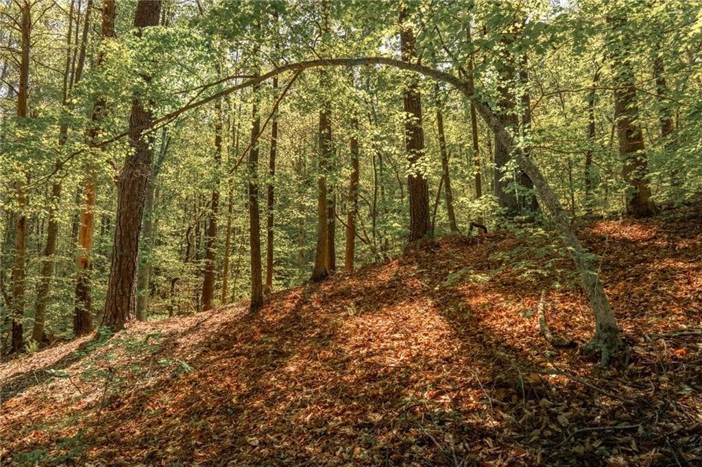 unimproved land for sale at 00 Hancock Mountain Trail, Waleska, GA 30183 — photo 9