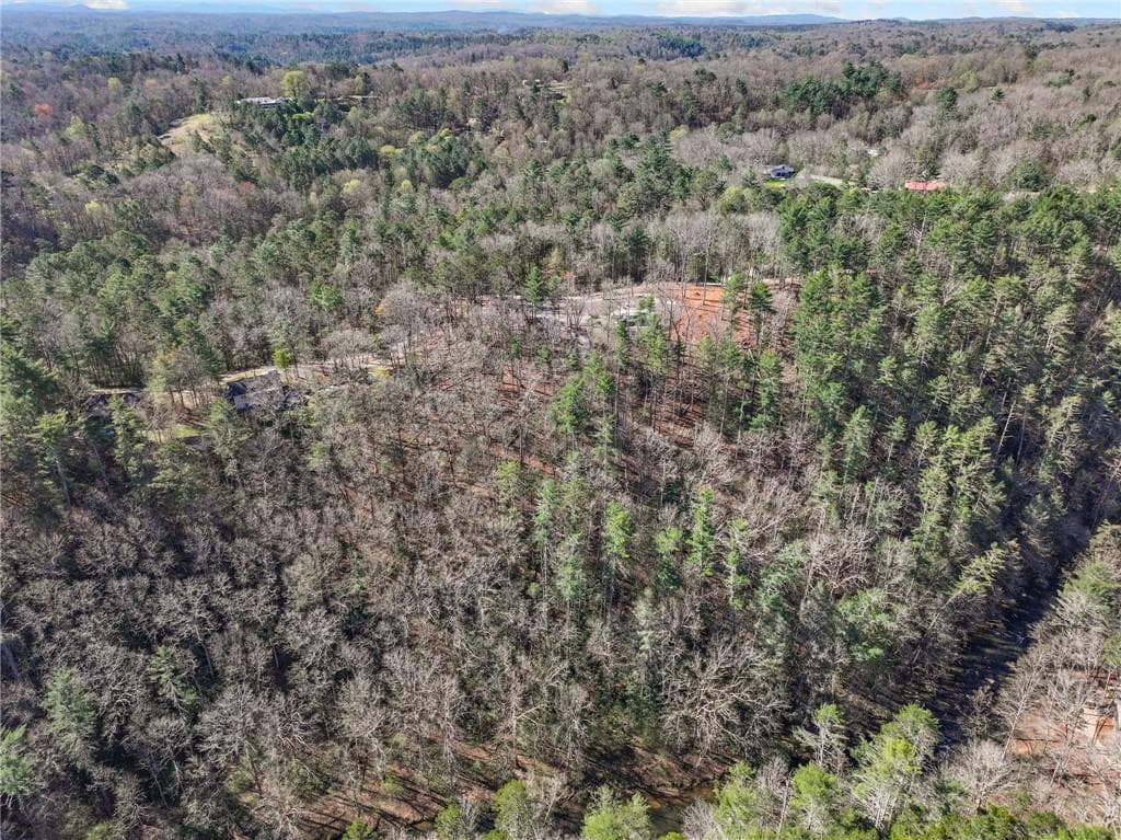 single family residence for sale at 0 Riverlodge Drive, Ellijay, GA 30540 — photo 5