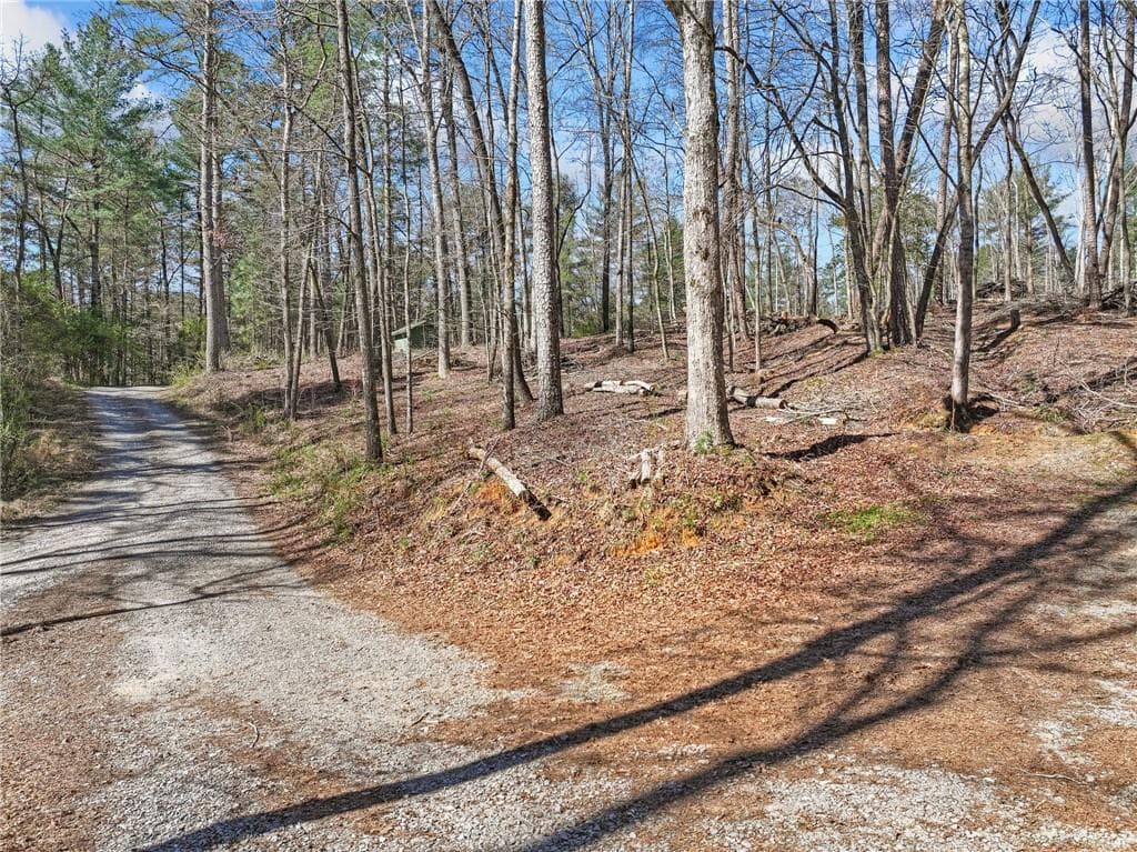 single family residence for sale at 0 Riverlodge Drive, Ellijay, GA 30540 — photo 10