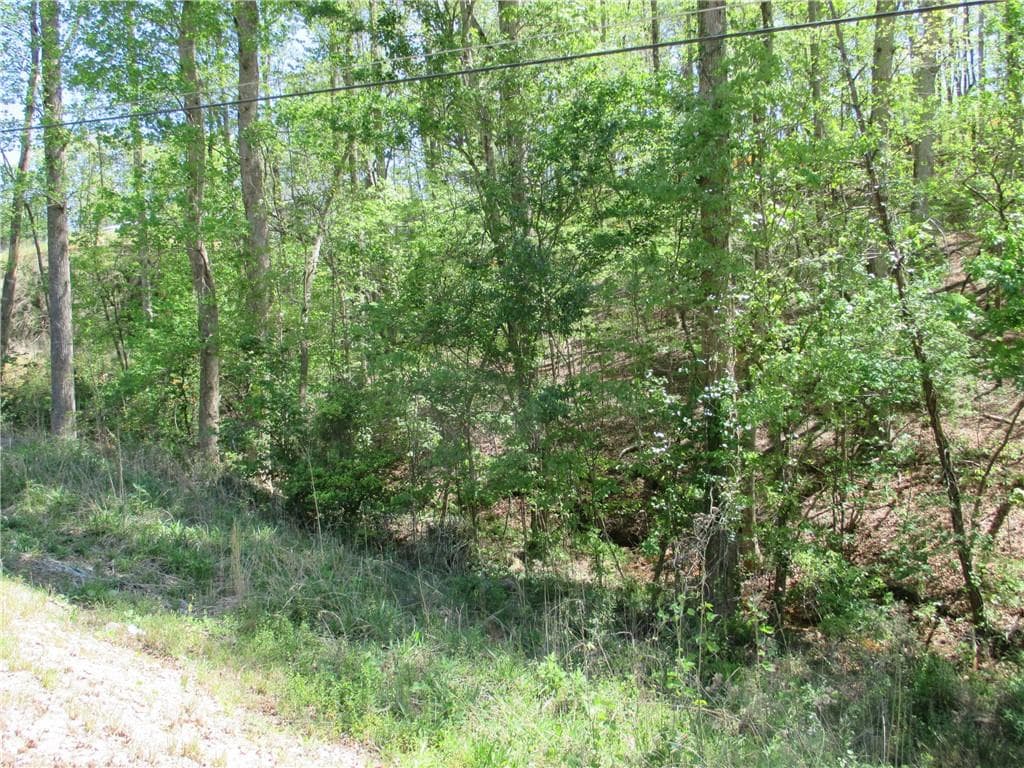 unimproved land for sale at 000 Morrison Moore Parkway, Dahlonega, GA 30533 — photo 3