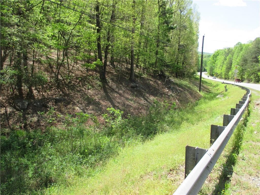unimproved land for sale at 000 Morrison Moore Parkway, Dahlonega, GA 30533 — photo 5