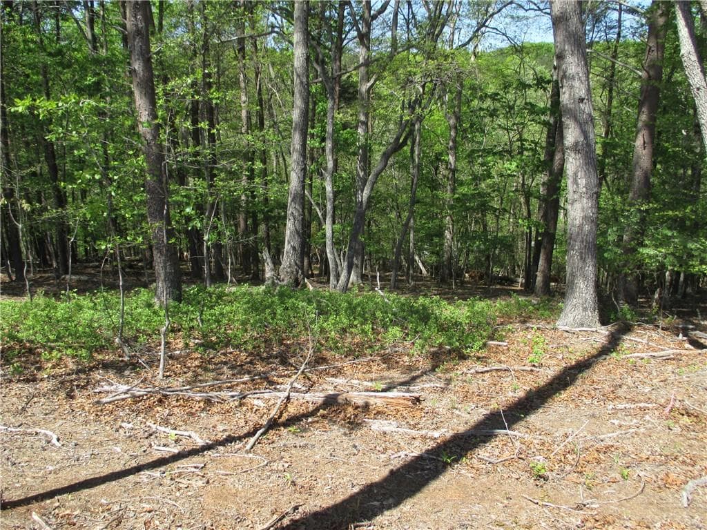 unimproved land for sale at 000 Morrison Moore Parkway, Dahlonega, GA 30533 — photo 6