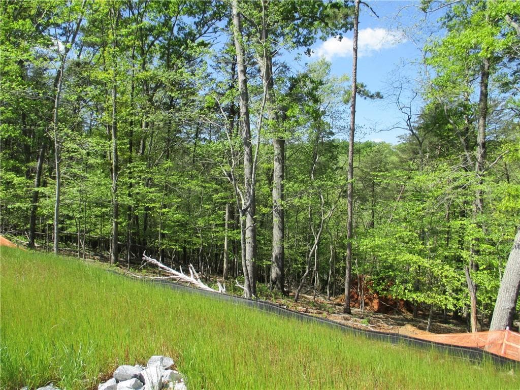unimproved land for sale at 000 Morrison Moore Parkway, Dahlonega, GA 30533 — photo 8