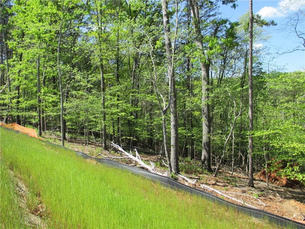 unimproved land for sale at 000 Morrison Moore Parkway, Dahlonega, GA 30533 — photo 9