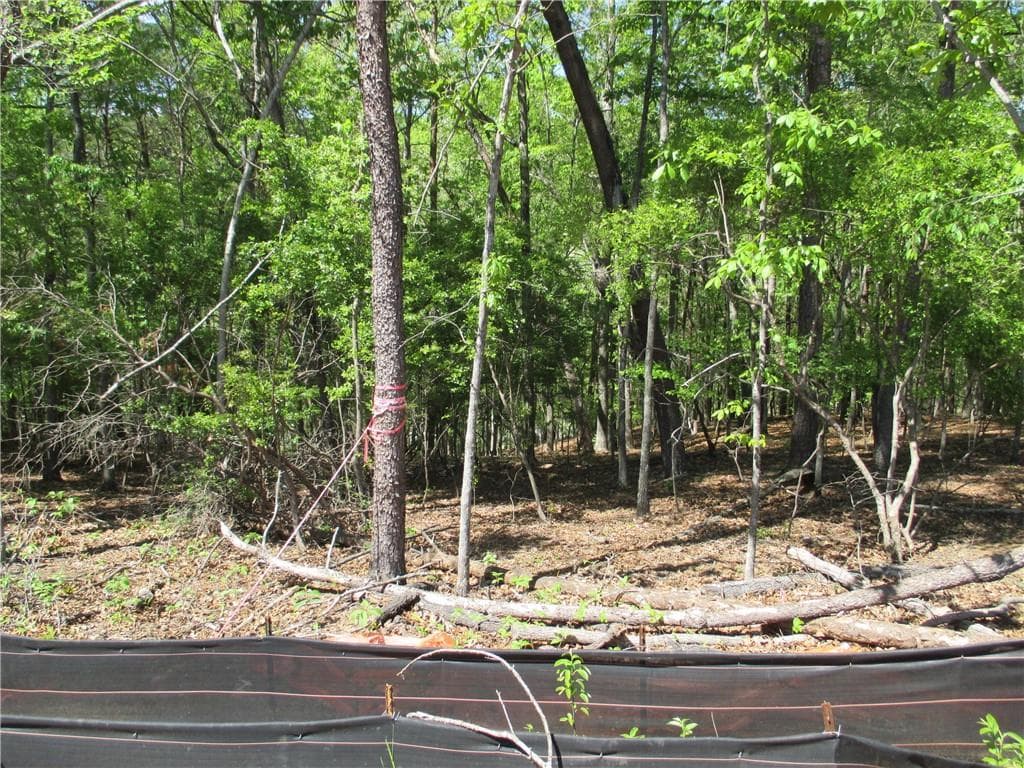 unimproved land for sale at 000 Morrison Moore Parkway, Dahlonega, GA 30533 — photo 10