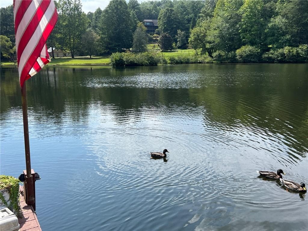 5 bedroom, 4 bathroom, 3,432 sq ft single family residence for sale at 454 High Country Drive, Morganton, GA 30560 — photo 5