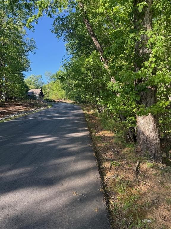 unimproved land for sale at 0 Mountainside Drive, Cleveland, GA 30528 — photo 3