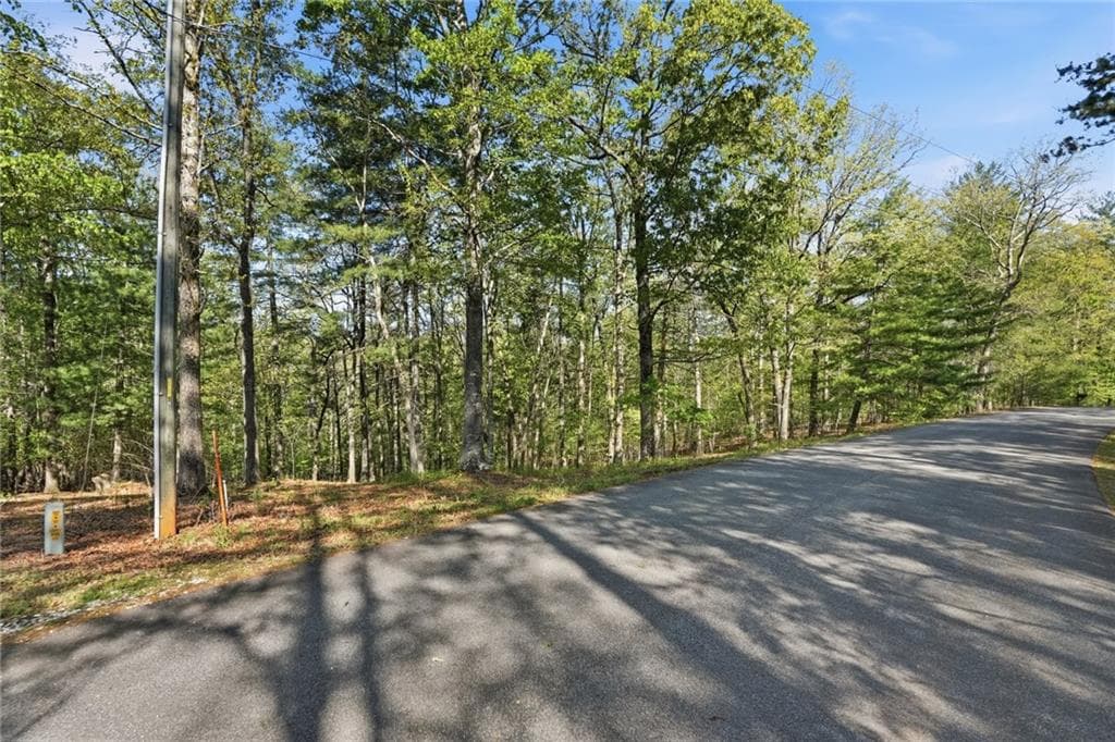 unimproved land for sale at 0 Mill Trace Court, Cleveland, GA 30528 — photo 9