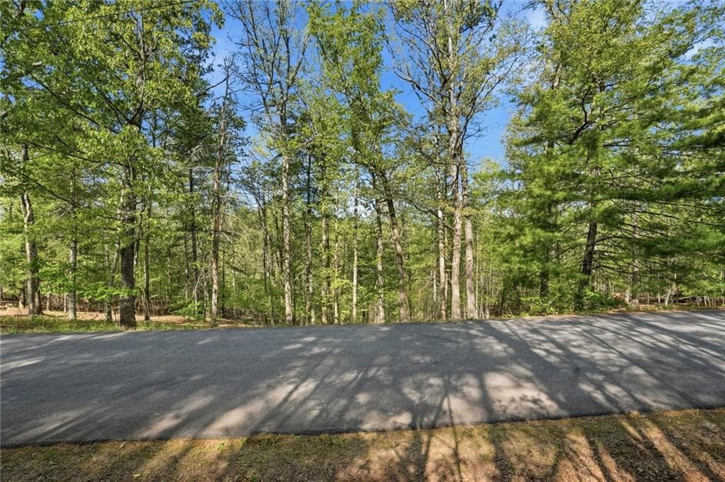 unimproved land for sale at 0 Mill Trace Court, Cleveland, GA 30528 — photo 10