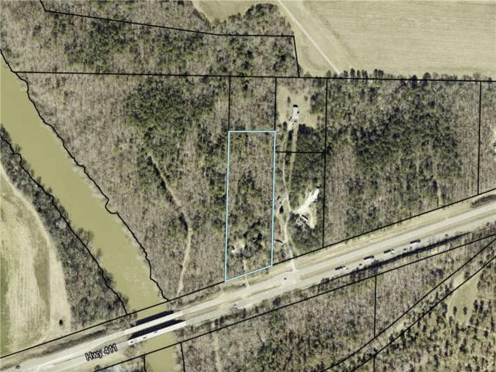 unimproved land for sale at 4003 Highway 411, Kingston, GA 30145 — photo 2