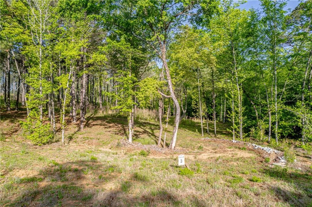 unimproved land for sale at 126 Falls Lane, Milledgeville, GA 31061