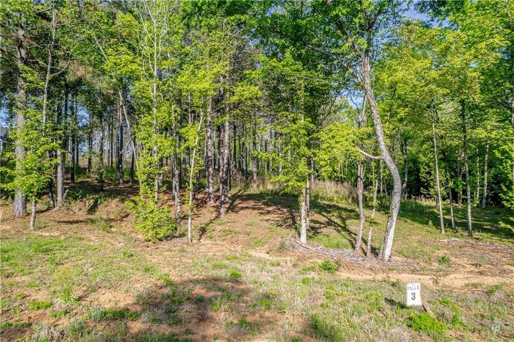 unimproved land for sale at 126 Falls Lane, Milledgeville, GA 31061 — photo 3
