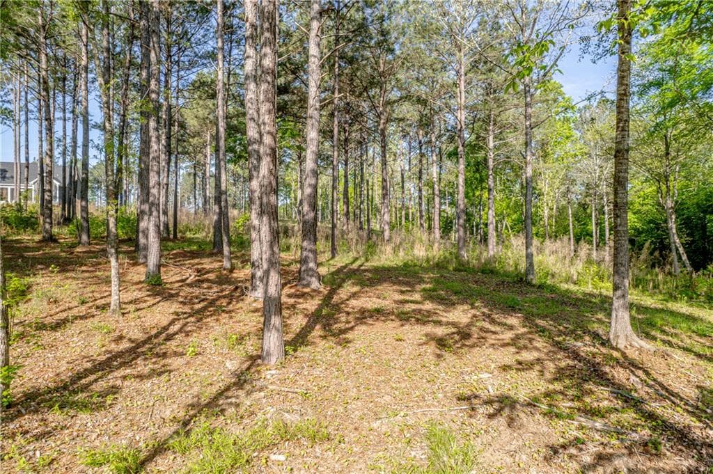 unimproved land for sale at 126 Falls Lane, Milledgeville, GA 31061 — photo 4
