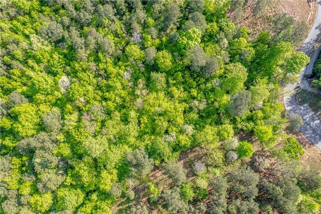 unimproved land for sale at 126 Falls Lane, Milledgeville, GA 31061 — photo 5