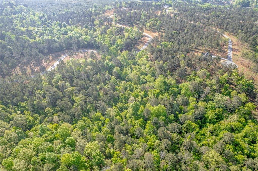 unimproved land for sale at 126 Falls Lane, Milledgeville, GA 31061 — photo 7